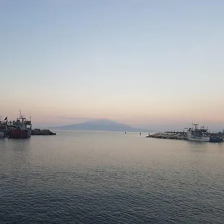 Bed & Breakfast Queen